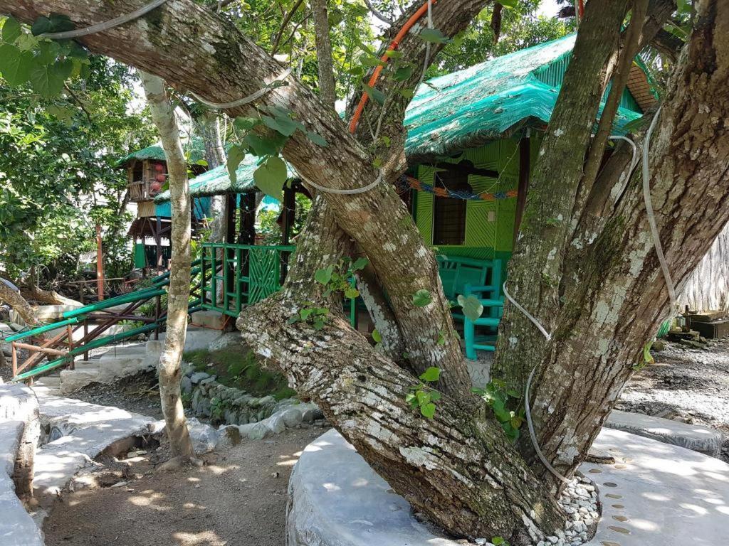 Nature Green Forest Resort Балер Екстериор снимка